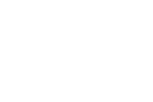 Transwerle